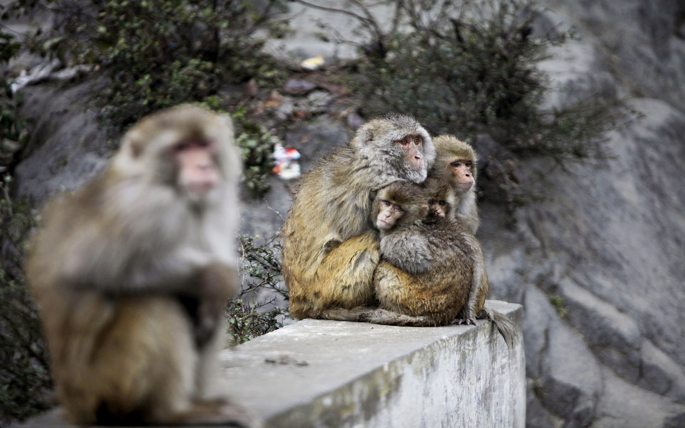 αγκαλιά-για-ζεστασιά-2009087