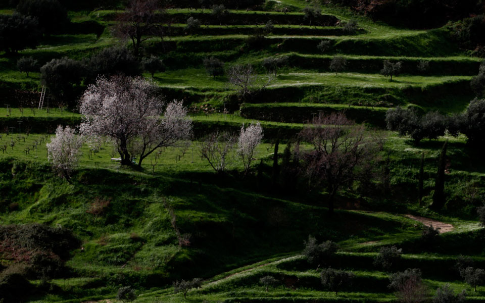 κεφαλονιά-ομαλοποιείται-η-κατάσταση-2005827