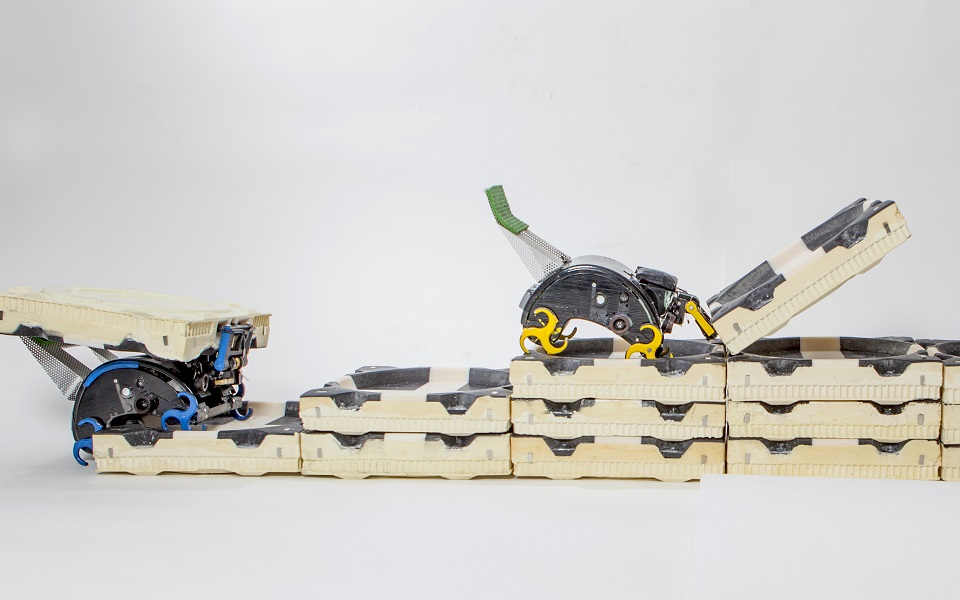 ρομποτικοί-τερμίτες-αναλαμβάνουν-ρό-2006946