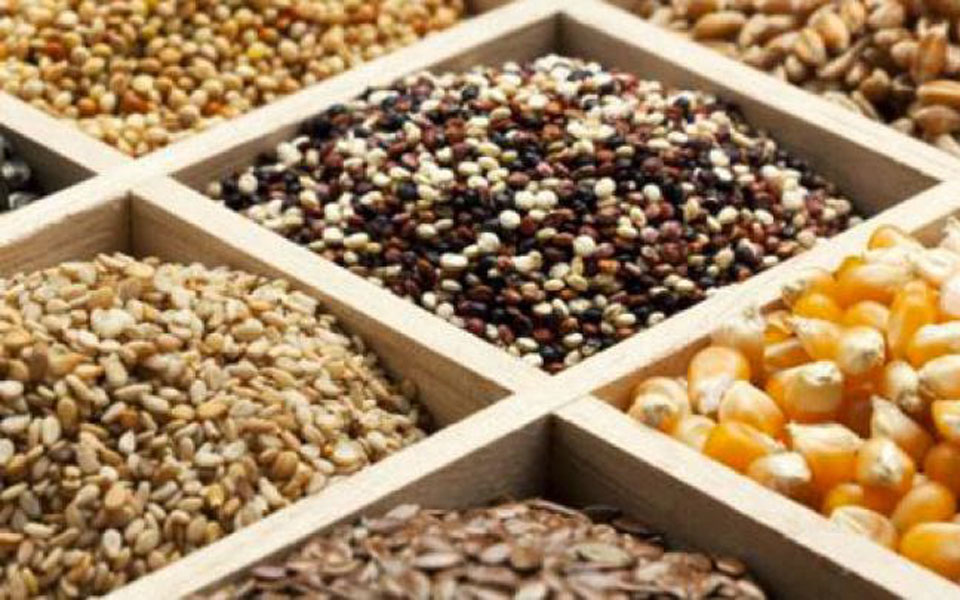 σπόροι-μόνο-από-πολυεθνικές-2005795