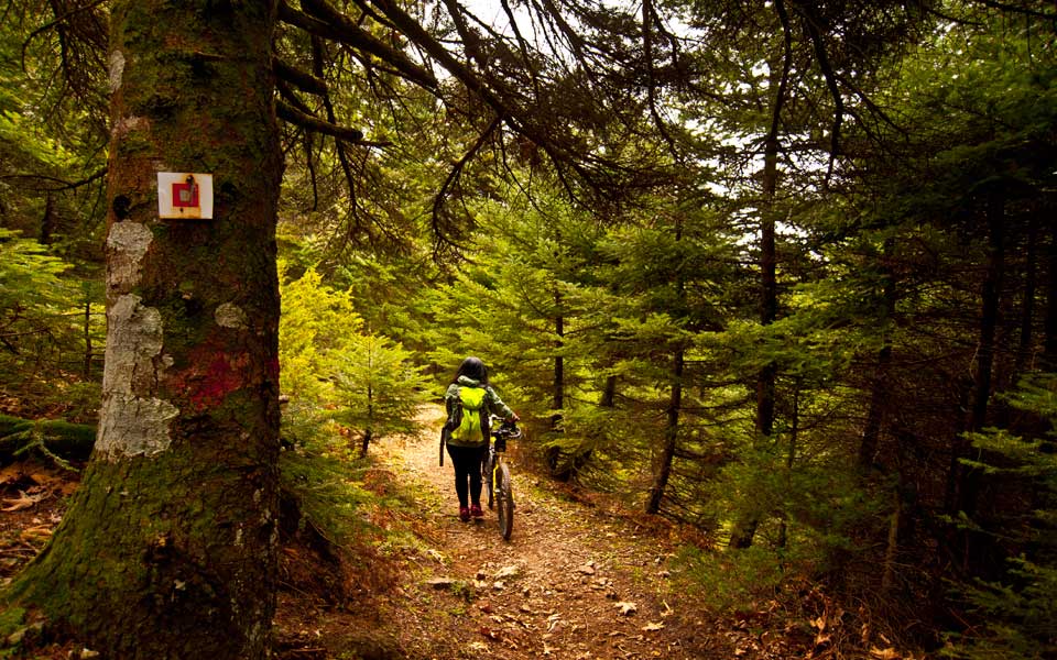 στενή-ευβοίας-μια-ανάσα-από-την-αθήνα-2008445