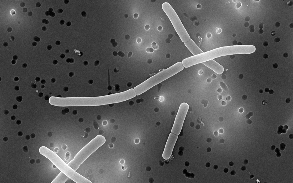 επιστήμονες-ξαναγράφουν-τον-κώδικα-τ-2010125