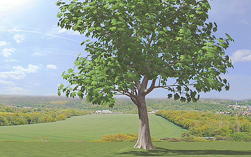 το-περιβάλλον-κι-εγώ-στο-ψηφιακό-πλα-2011613