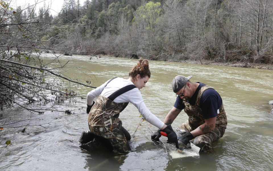 φωτογραφήματα-2014122