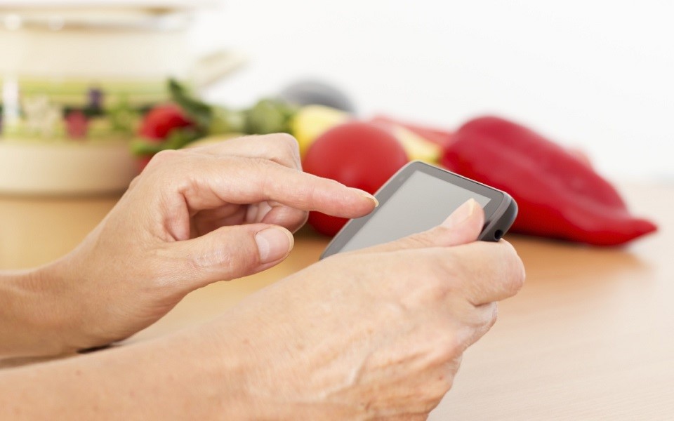 application-για-την-ελληνική-διατροφική-κληρον-2011334