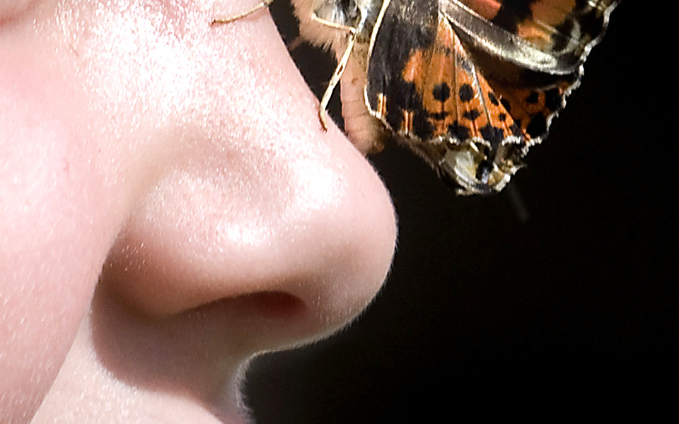 η-μύτη-πιο-ισχυρή-από-μάτι-και-αυτί-2013440