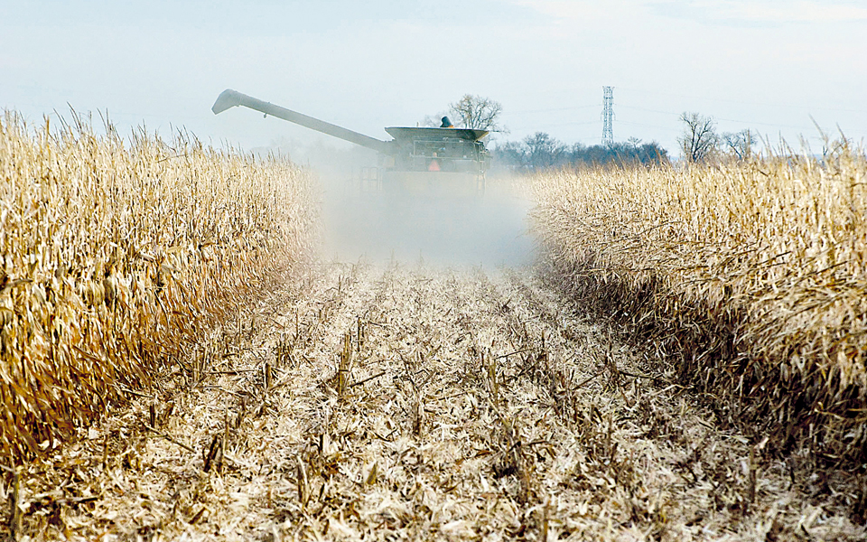 ξανανοίγει-ο-φάκελος-των-μεταλλαγμέν-2012061
