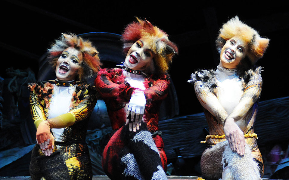 αριστες-γάτες-στο-μπάντμιντον-2014274