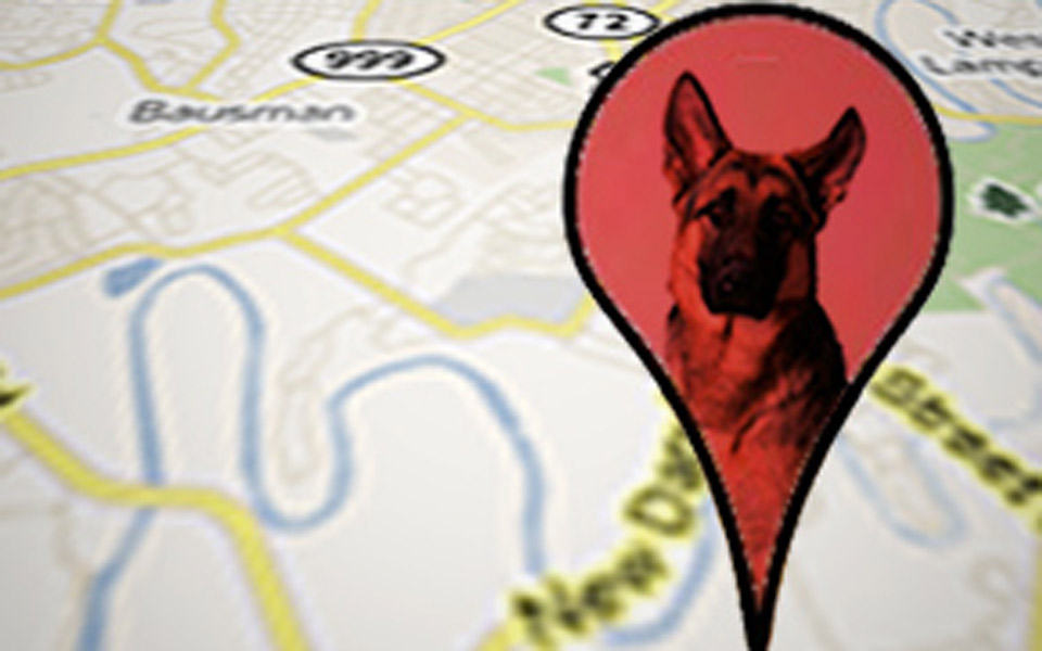 οι-χάρτες-της-google-εντοπίζουν-χαμένα-κατο-2010240