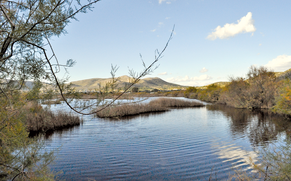 φύση-και-πολιτισμός-μαζί-2010491