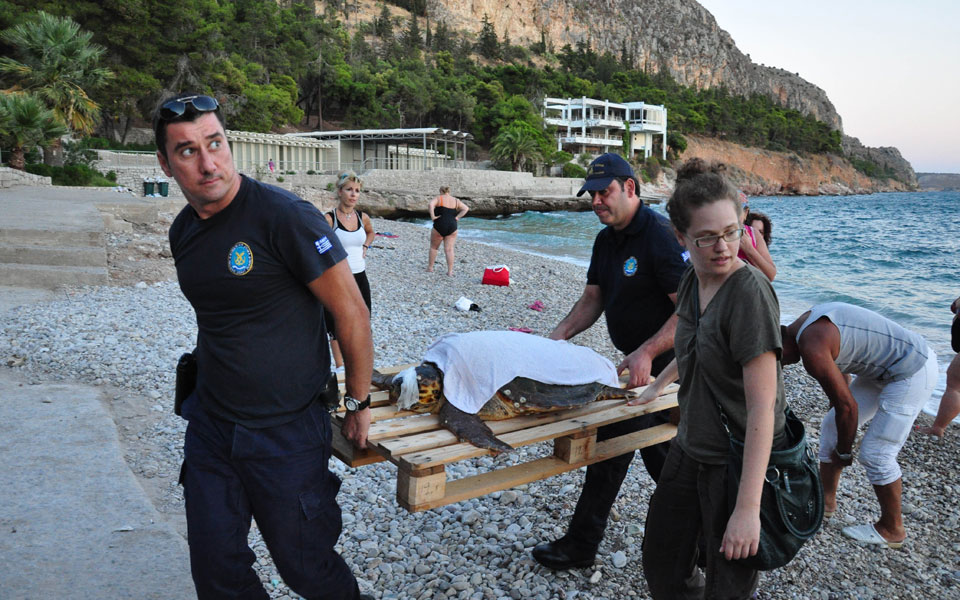 στο-ευρωδικαστήριο-για-την-καρέτα-καρ-2014338