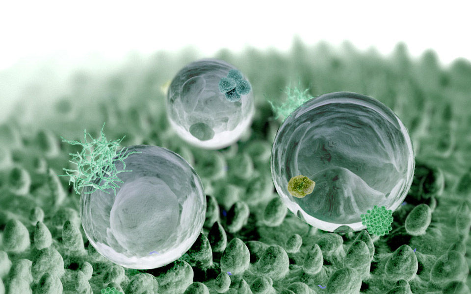 τα-πρώτα-βιονικά-φυτά-με-τούρμπο-φωτ-2012397