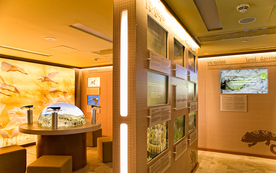 γνωριμία-με-τη-μεσσηνιακή-φύση-2013537