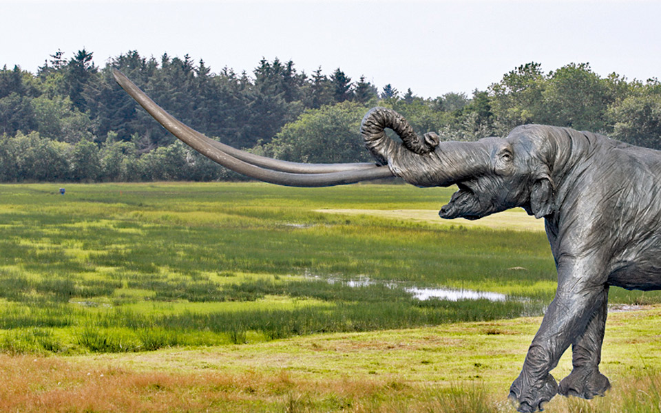 μολυσματικός-ιός-αναστήθηκε-μετά-α-2010248