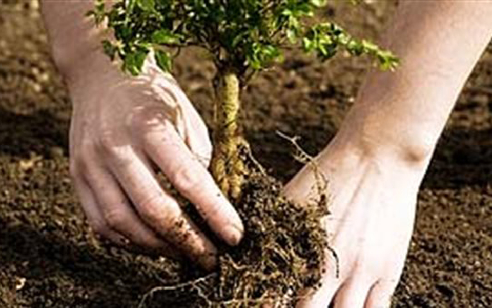 εκστρατεία-αναδάσωσης-από-τον-σκαϊ-φυ-2012006