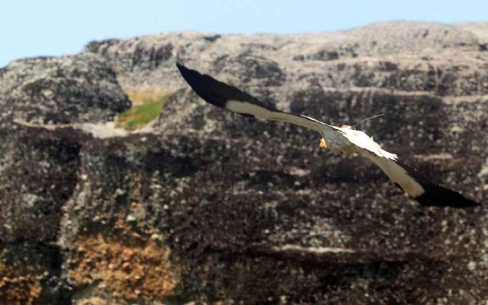 συνεχίζονται-οι-δράσεις-από-wwf-ελλάς-κα-2010362