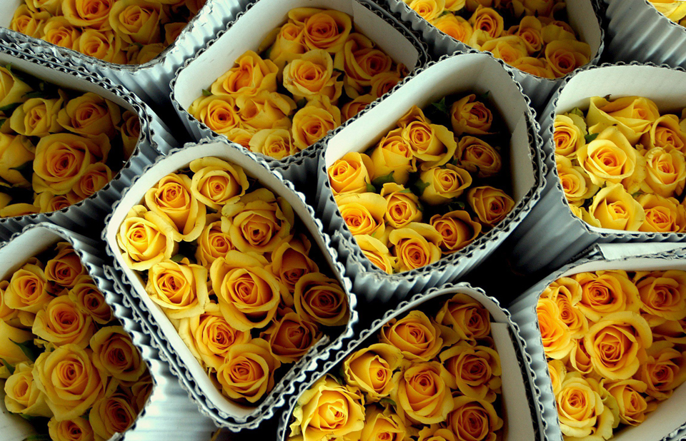 ενίσχυση-επενδύσεων-στη-μεταποίηση-κ-2017178