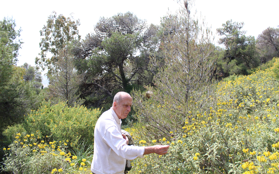 αφοσιωμένος-βοτανολόγος-του-άγνωσ-2017147