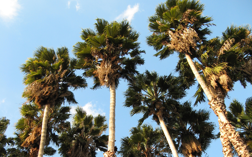 πανεπιστημιακές-σπουδές-κινηματογρά-2018259