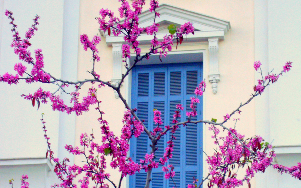 στην-αθήνα-την-άνοιξη-2017992