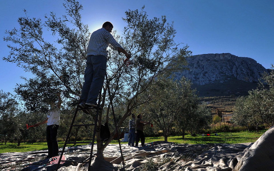 τα-ελληνικά-αγροτικά-προϊόντα-κατακτ-2019464