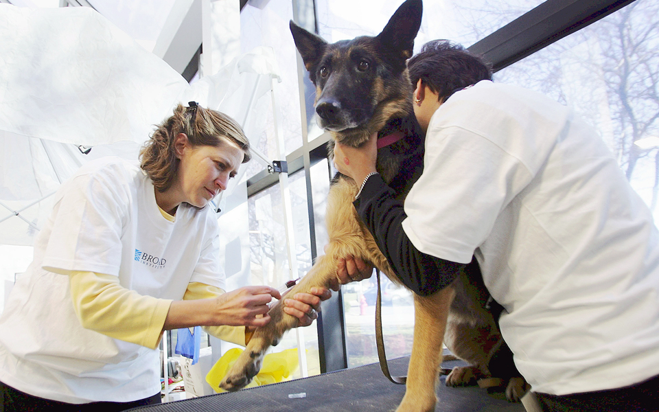 μαθήματα-ζωής-από-τα-σκυλιά-2019754