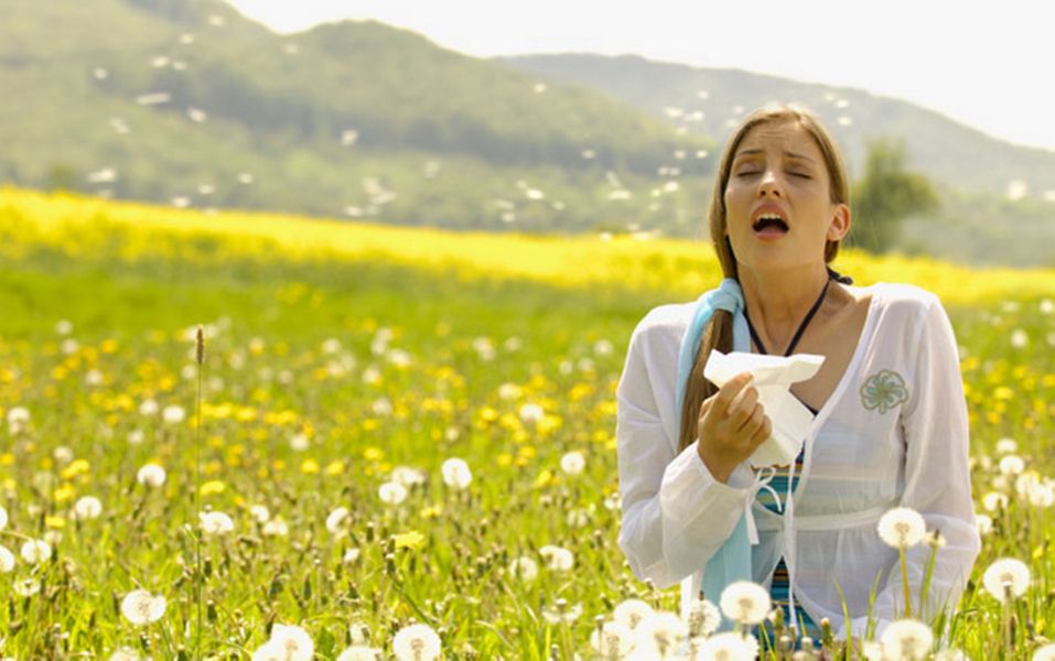 αψού-η-άνοιξη-με-ταλαιπωρεί-2017873