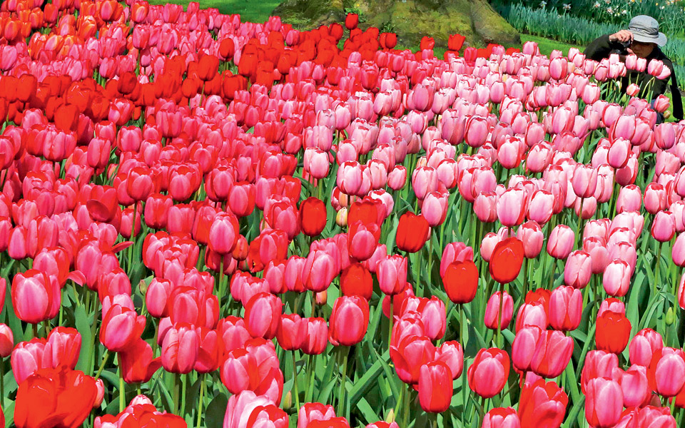 ανοιξη-στην-ευρώπη-2018951