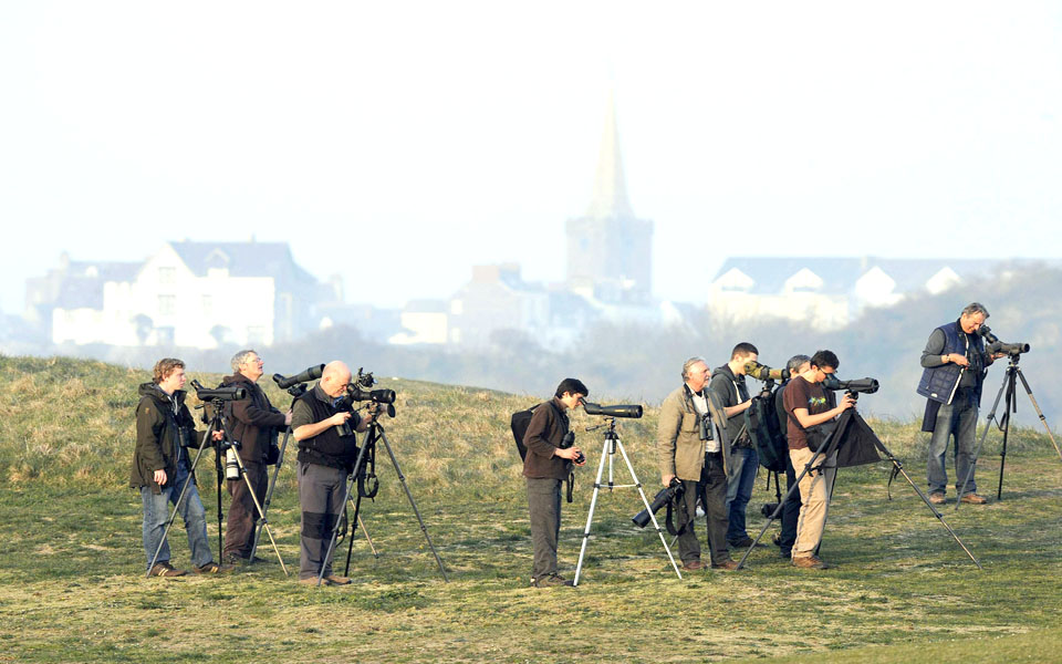 σπάνια-εμφάνιση-2015738