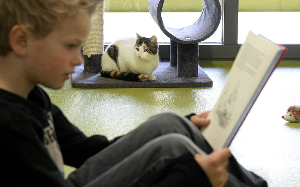 διάβασέ-μου-ένα-παραμύθι-2019627