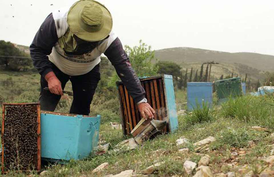 προγράμματα-ύψους-17-εκατ-ευρώ-για-τη-στ-2016483