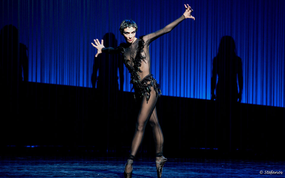 ο-p-τζανέλα-και-οι-κύκνοι-του-2016970