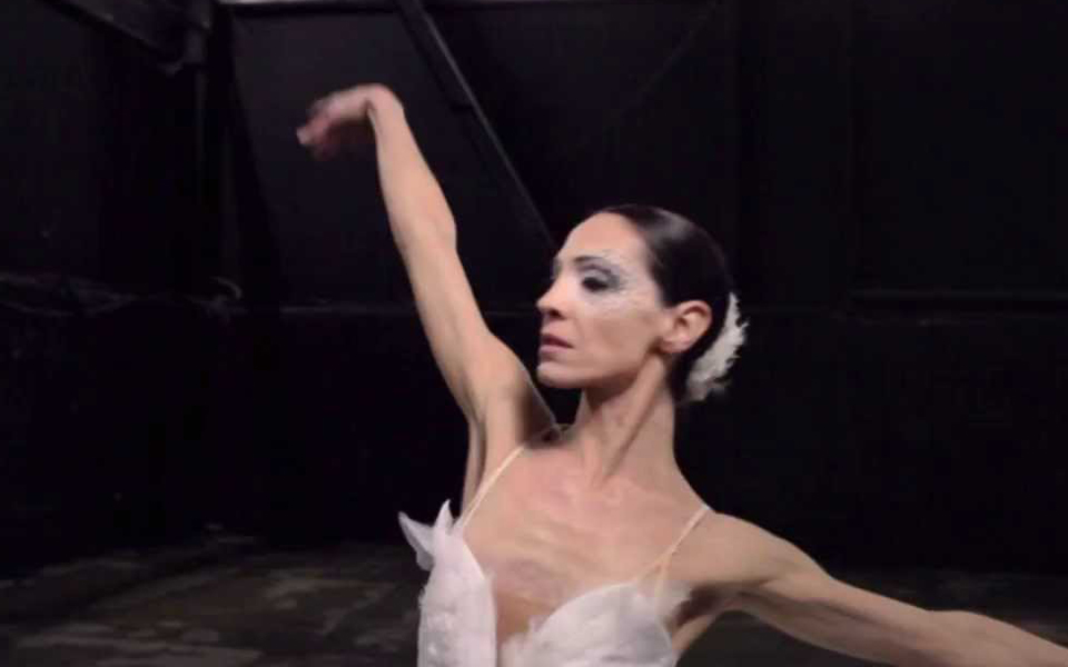 λίμνη-των-κύκνων-ρόλοι-και-διανομές-2018433