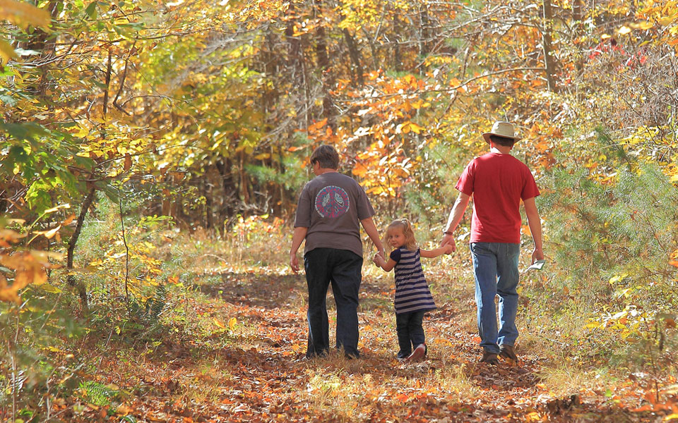 κληρονομικές-οι-τραυματικές-εμπειρί-2017717