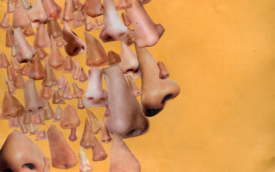 εκπαιδευτικά-προγράμματα-σε-γνωρίζω-2019643