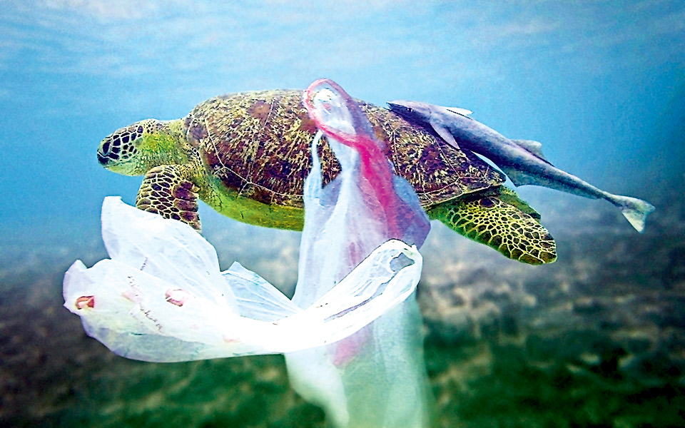 ωκεανοί-οι-μεγάλοι-σκουπιδότοποι-του-2018964