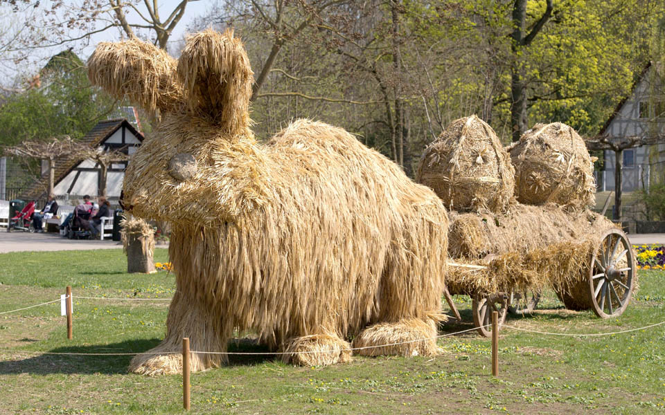λαγός-στα-άχυρα-2017833