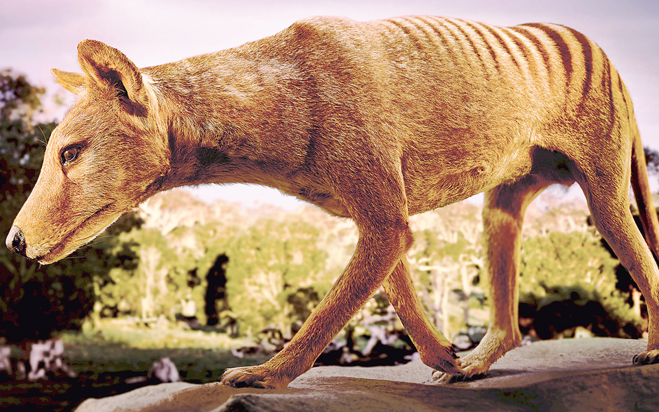 ενα-πραγματικό-jurassic-park-2021014