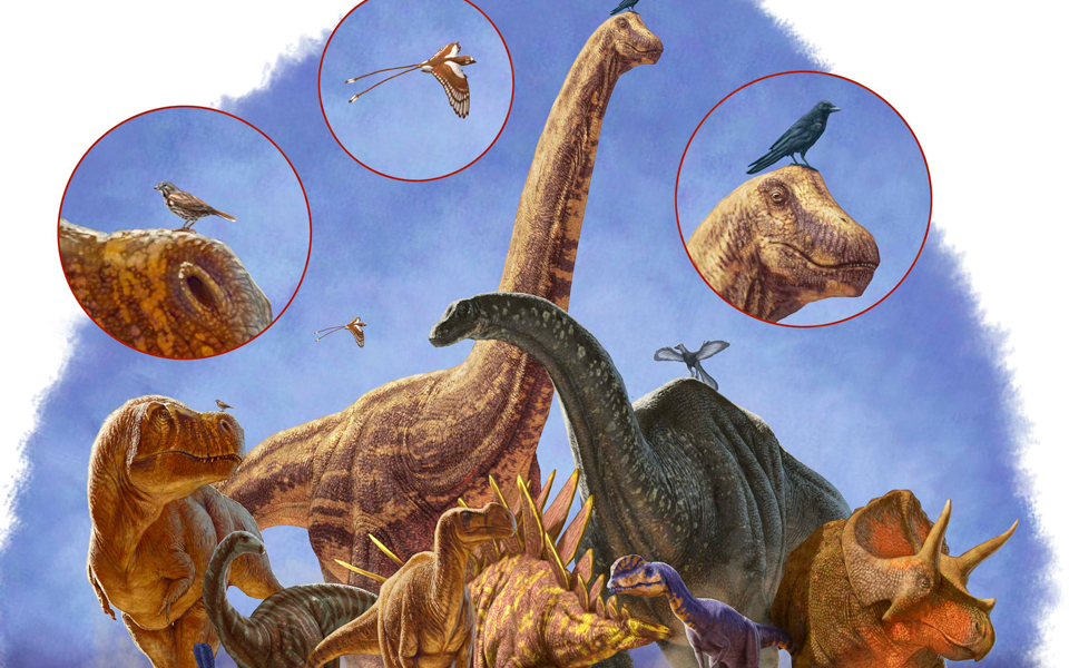 αργεντινόσαυρος-ο-γίγας-των-δεινοσαύ-2021996