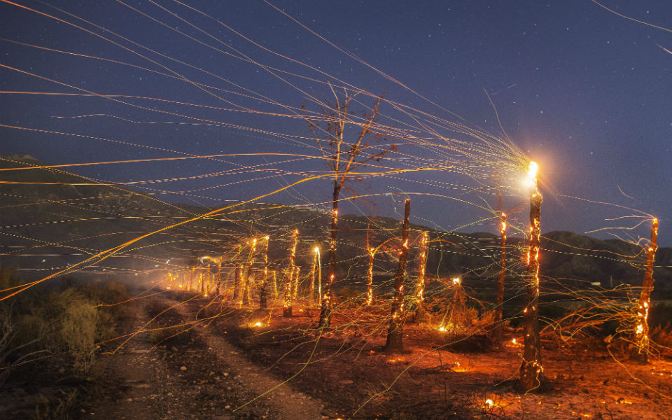 φωτογραφήματα-2020705