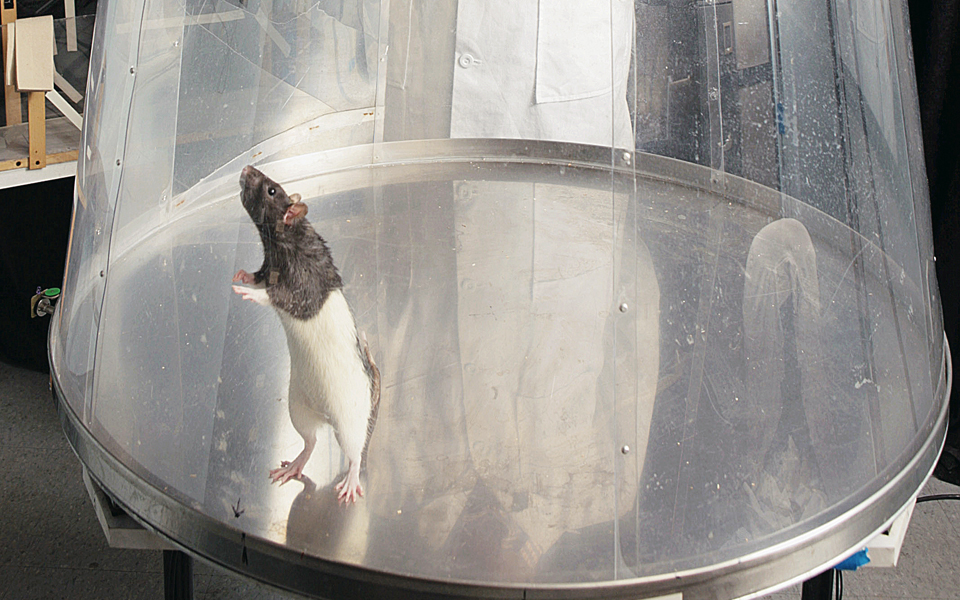 ενα-φάρμακο-ενάντια-στις-πιο-επώδυνες-2025813