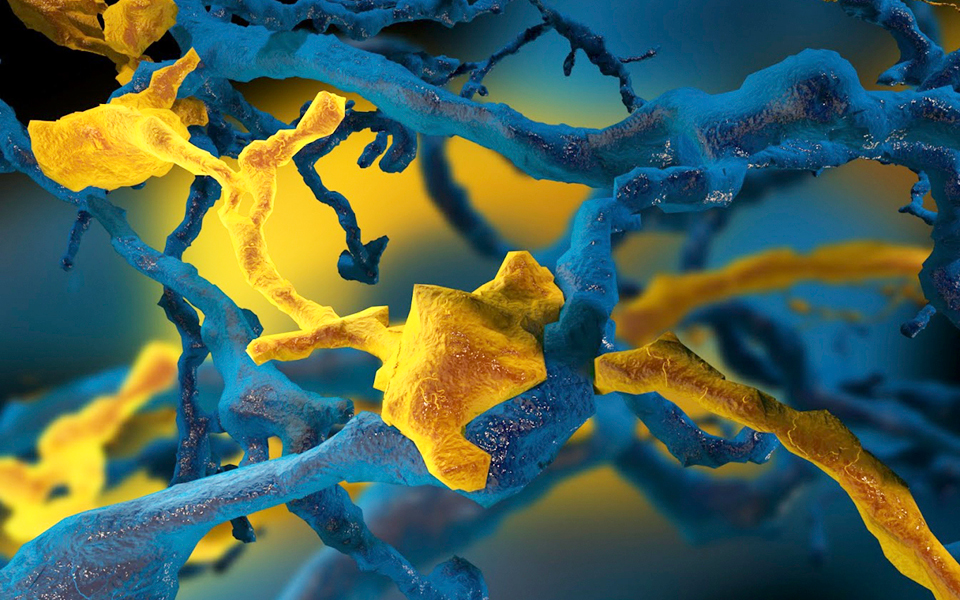 η-νευροεπιστήμη-έχει-δρόμο-2026056