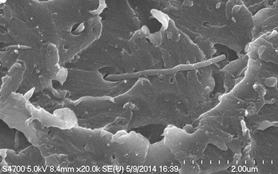 σφάλμα-στο-εργαστήριο-οδηγεί-σε-νέα-οι-2025239