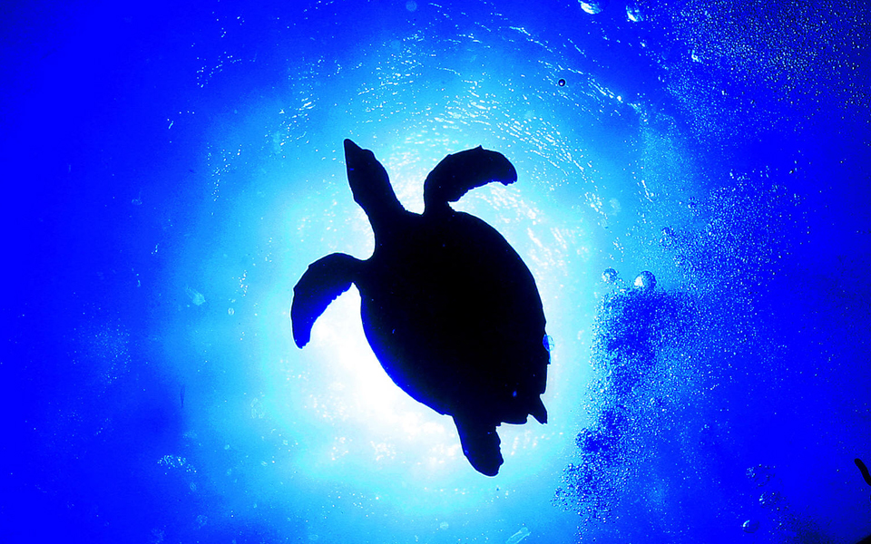 δρομολογείται-χάρτης-προστασίας-για-2026801