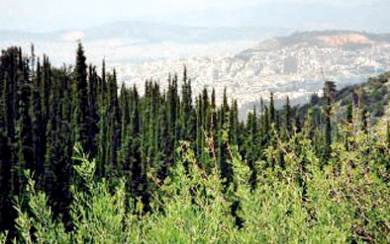 αμιβιο-ανάμεσα-στα-4-κορυφαία-προγρά-2020970