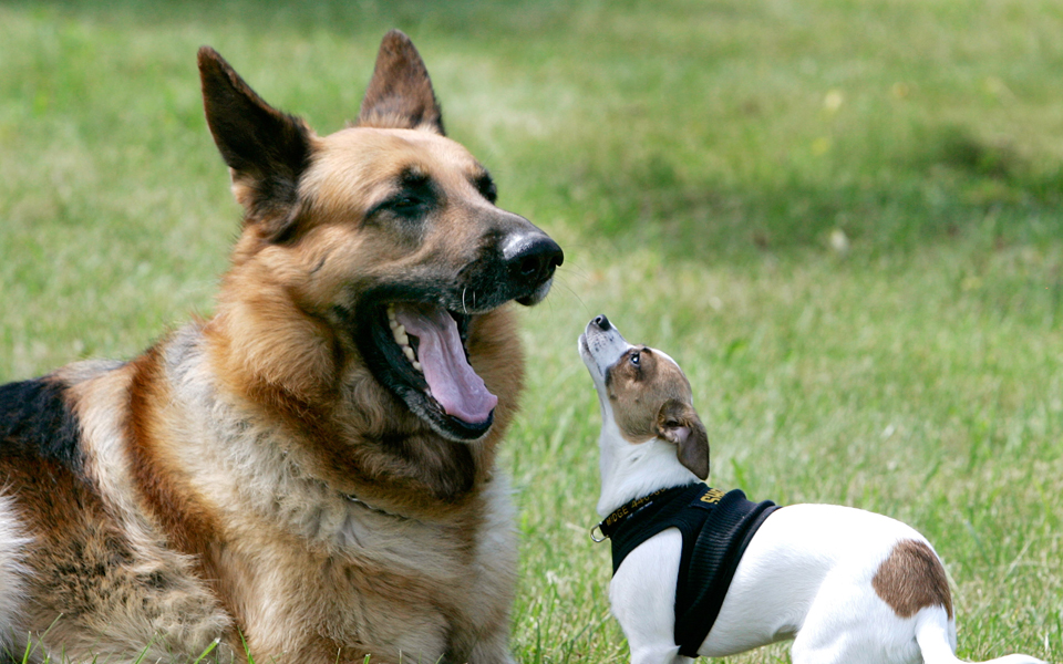 qa-κριτήριο-μακροζωίας-2022647