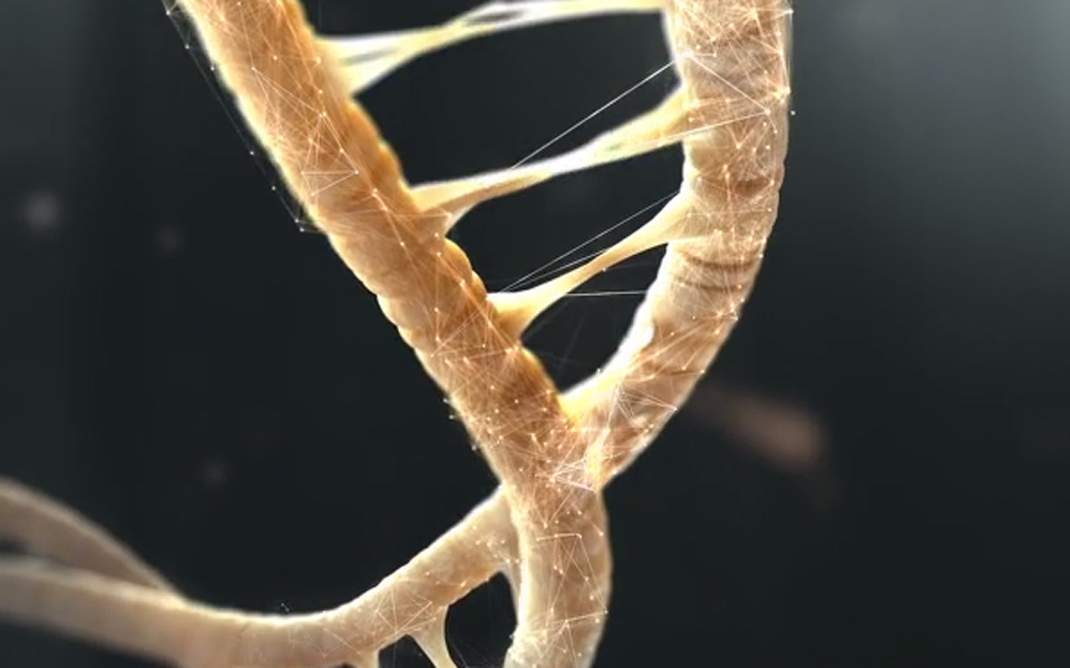 δύο-νέα-γράμματα-στο-αλφάβητο-της-ζω-2022123