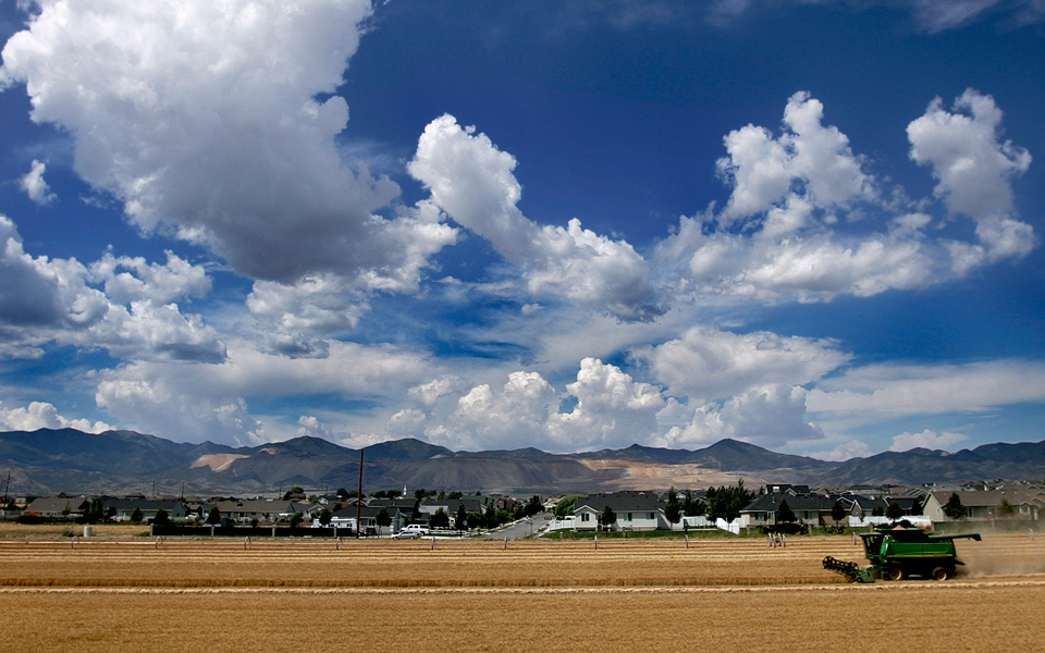 η-κλιματική-αλλαγή-μειώνει-τα-θρεπτικ-2022126