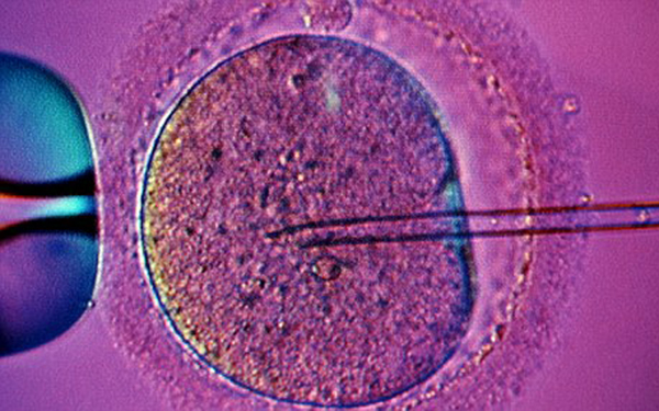 στην-κύπρο-οι-δανοί-επιλέγουν-το-φύλο-τ-2023698