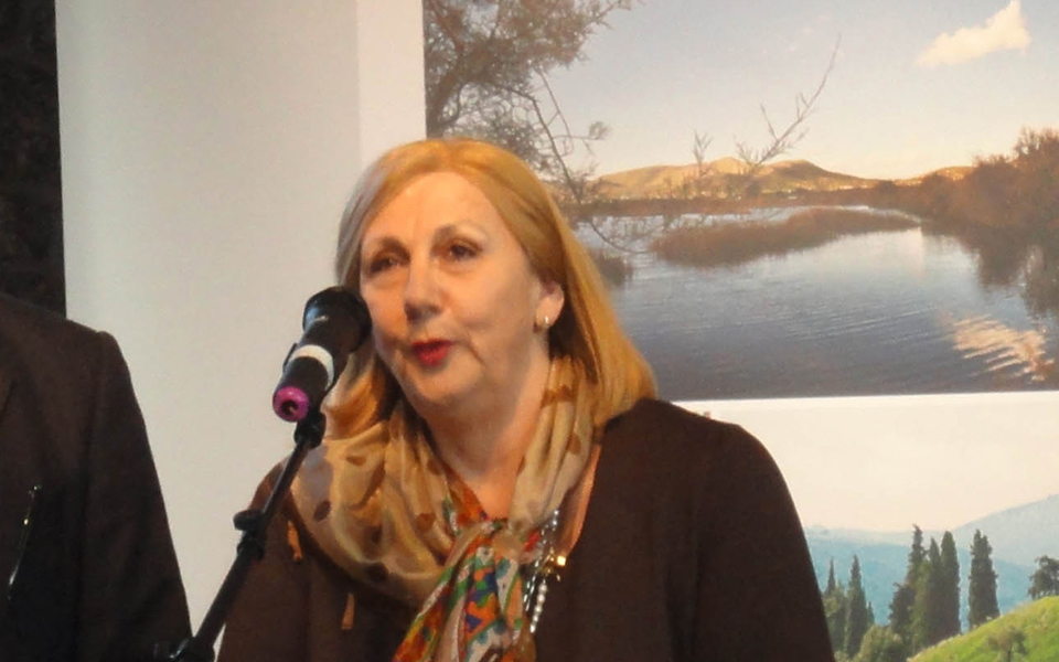 κ-δασκαλάκη-οι-ευρωεκλογές-είναι-πρόσ-2025251